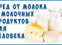 Молочное безумие: Кальций и Казеин, Вера и Дурь! Статья Фролова о Молоке №1.