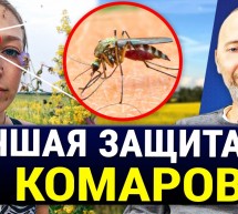САМОЕ СИЛЬНОЕ И БЕСПЛАТНОЕ СРЕДСТВО ОТ КОМАРОВ! Без химии! 5 Натуральных мер избавления от комаров.