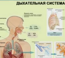 Фролов Ю. А. Вебинар от 13 мая  на тему: «Дыхательная система, ухо, горло, нос – болезни – лечение»…