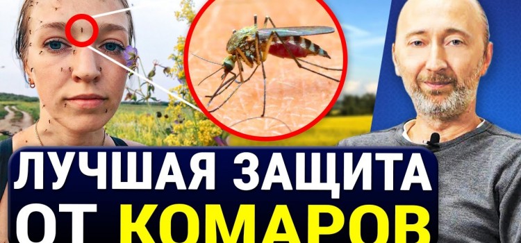 САМОЕ СИЛЬНОЕ И БЕСПЛАТНОЕ СРЕДСТВО ОТ КОМАРОВ! Без химии! 5 Натуральных мер избавления от комаров.