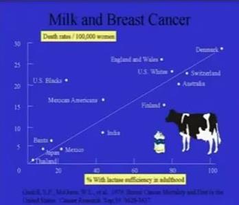 О вреде молочных продуктов
