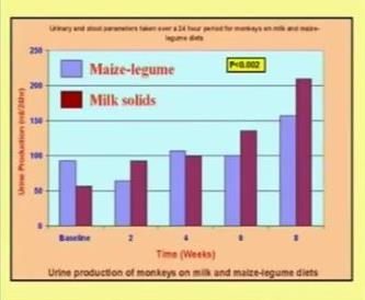 О вреде молочных продуктов